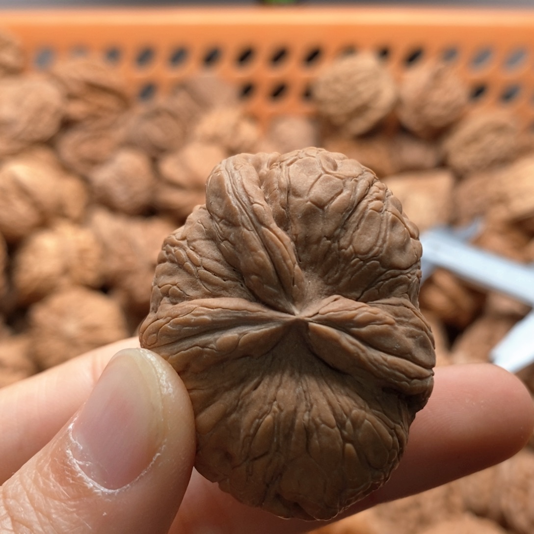 静***朗核桃定制商品不退不换