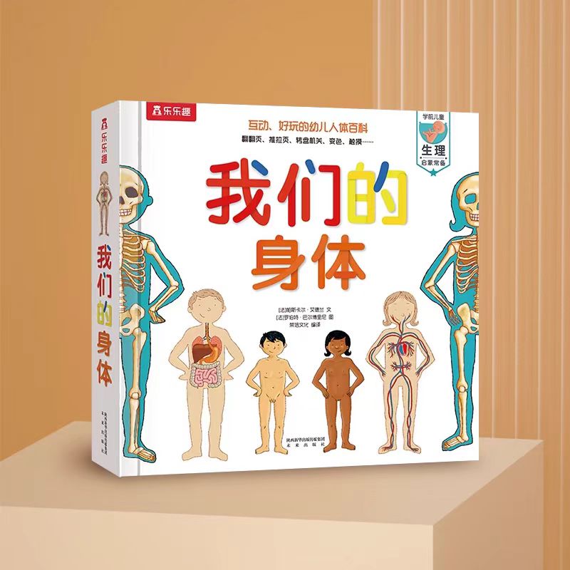 我们的身体 学前儿童生理启蒙 乐乐趣