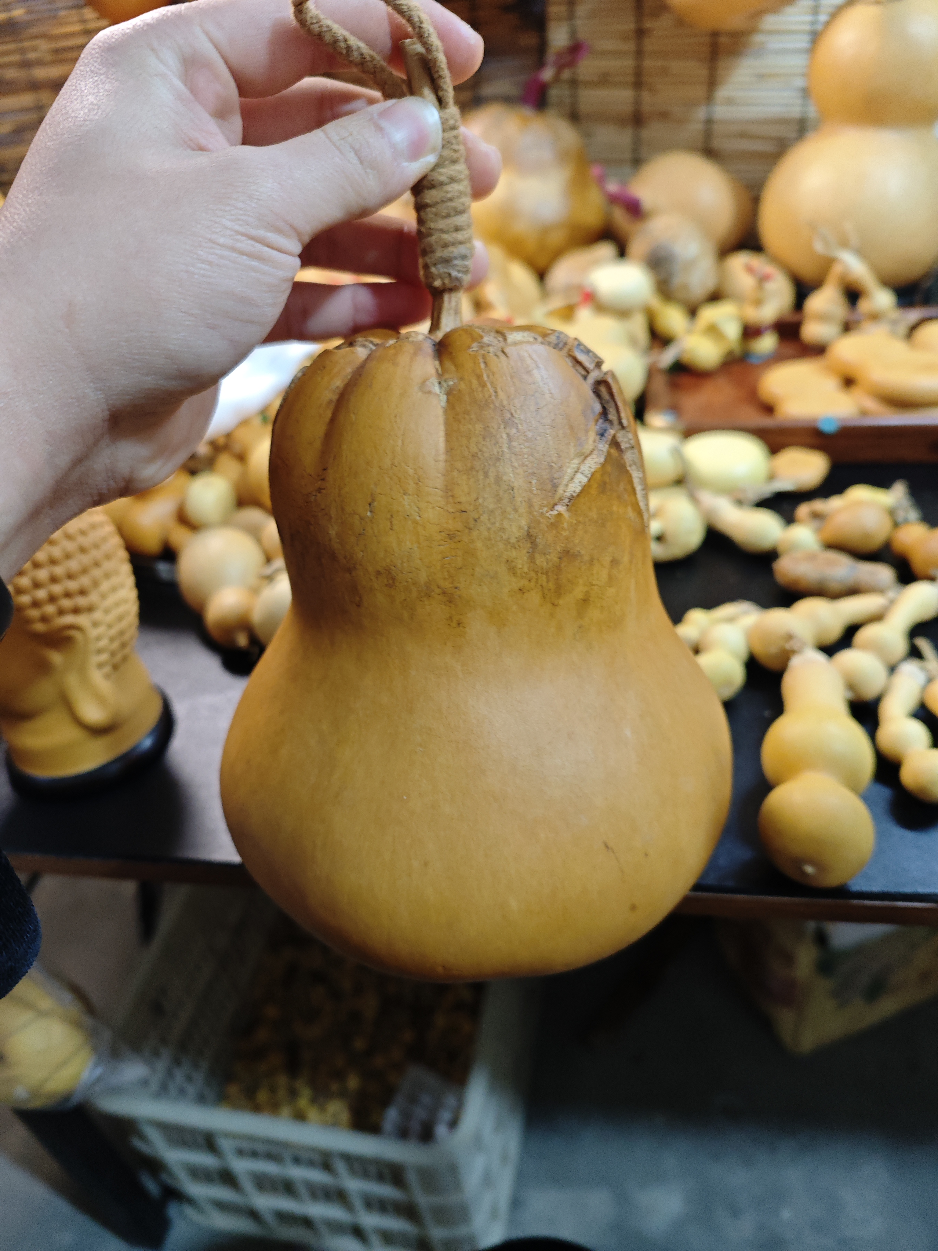 天然葫芦天烈莲花头