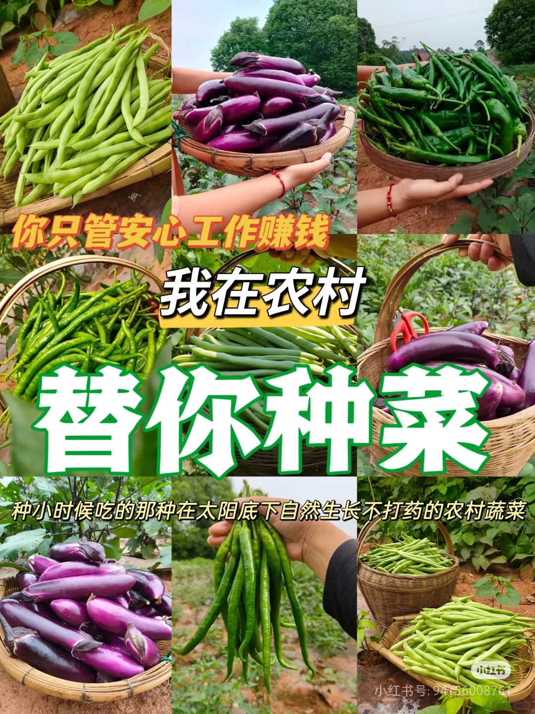 贵州农特产，瓜果 蔬菜 干货