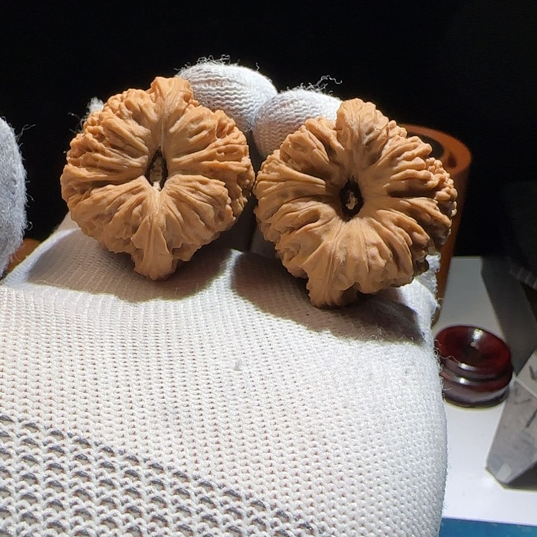 文玩核桃把件39凹底窝头