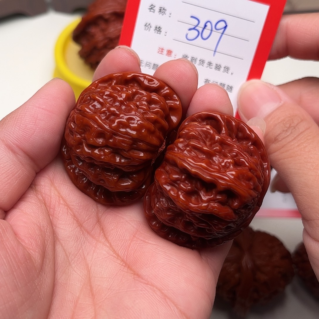 309。41尺。 白狮子