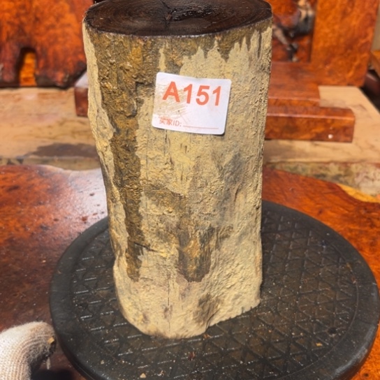 大果紫檀（缅甸花梨）