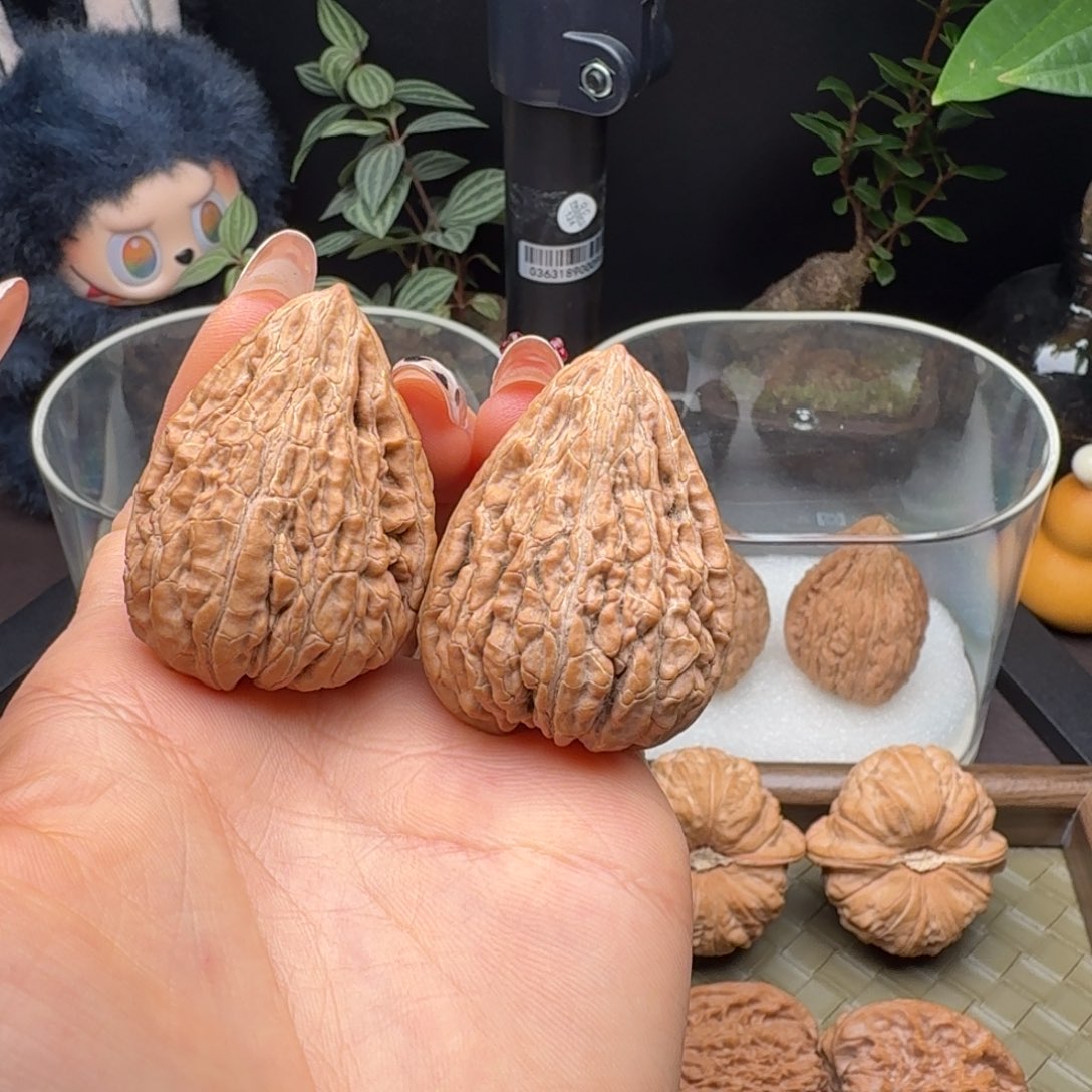 核桃全品原树头货坐佛34