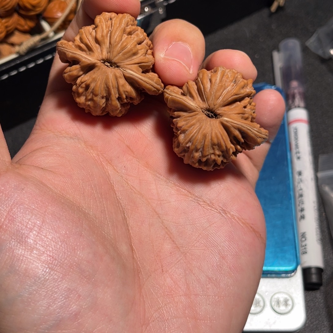 37全品山西吕梁汗高楼