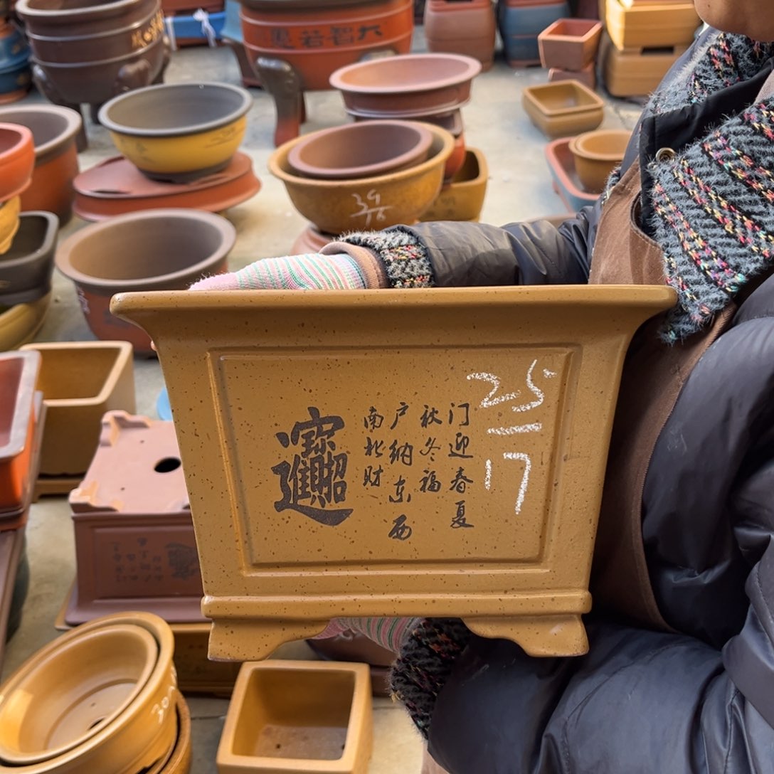 紫砂花盆盆景艺术