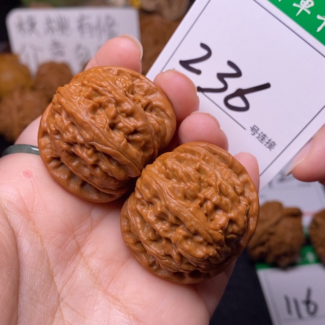 把件文玩核桃236门夹球白狮子头3.8