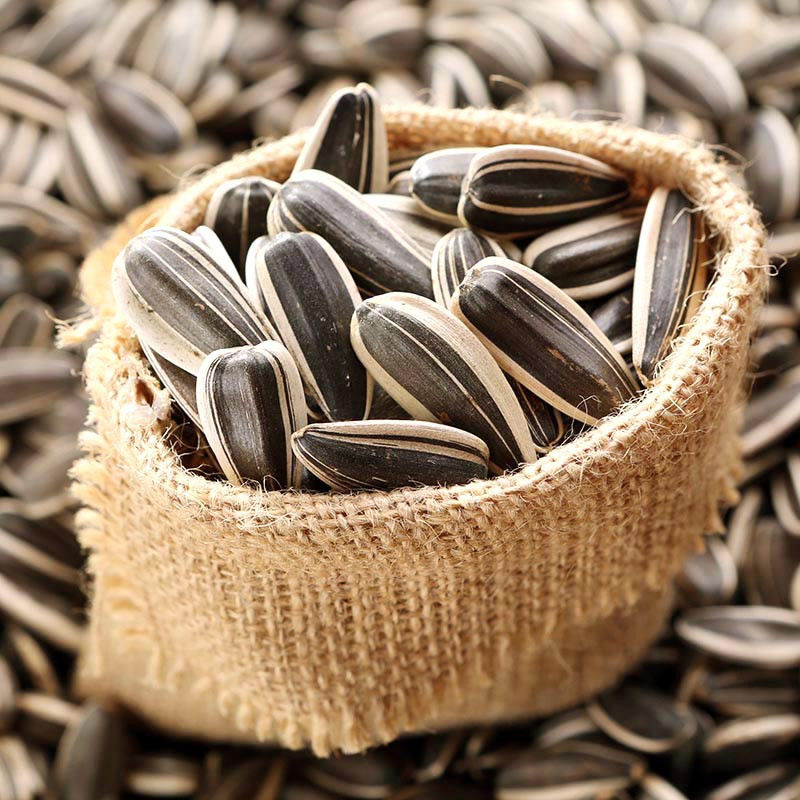 【2025纯新瓜子】内蒙古363原味新瓜子现炒现发炒熟原味瓜子生瓜子