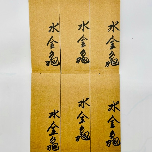 禾义里 水金龟 正岩名丛原料  中火 花果香 6泡装