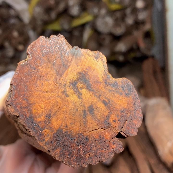 贝壳哈**?降真香平安扣定制