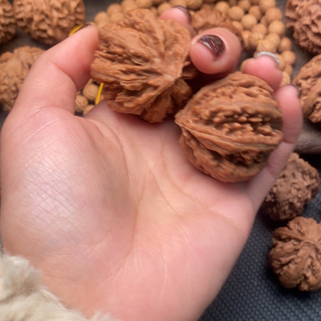 用***7核桃秦岭野生核桃粗筋