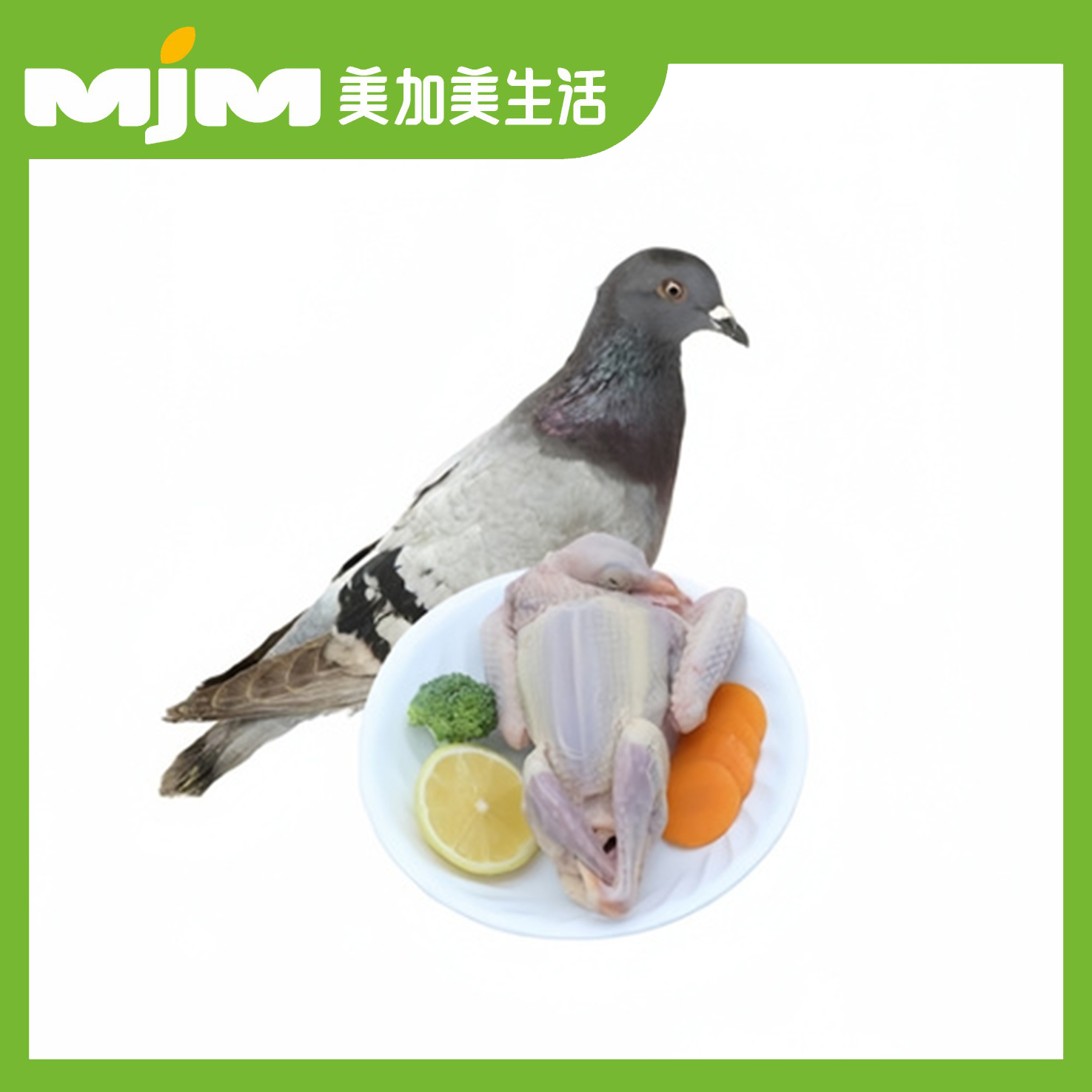 精品乳鸽（杀好6-7两）