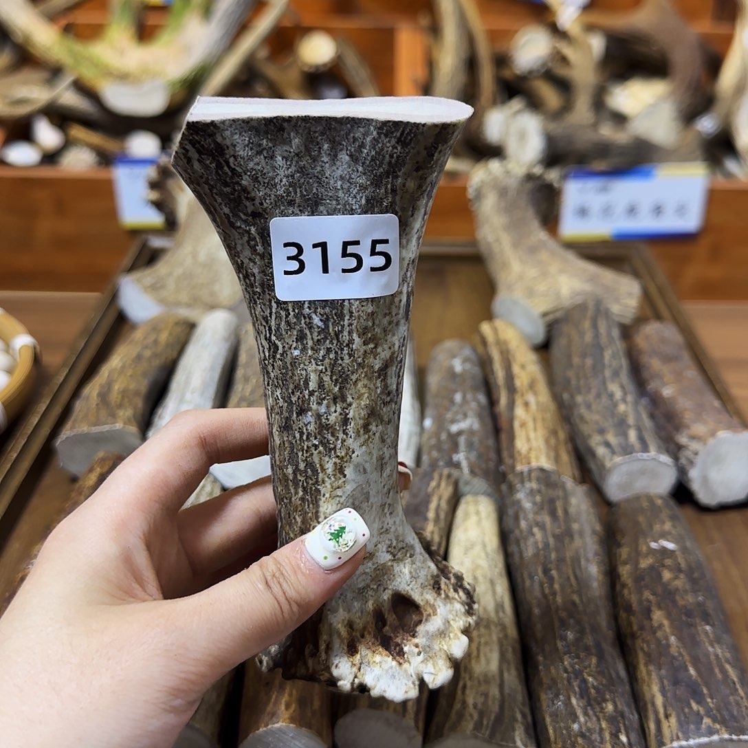 鹿骨手串/手链弹弓3155