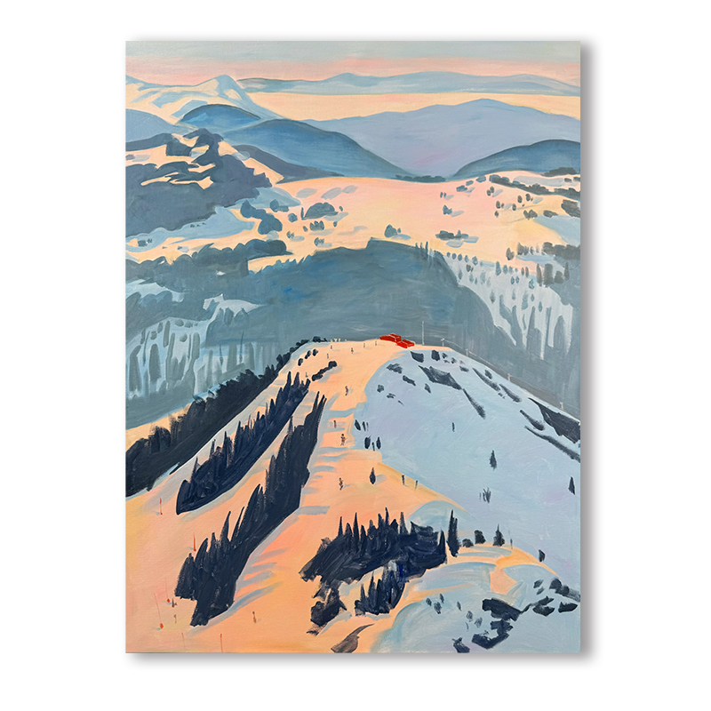 【滑雪大冒险】 “90*120” 挂画