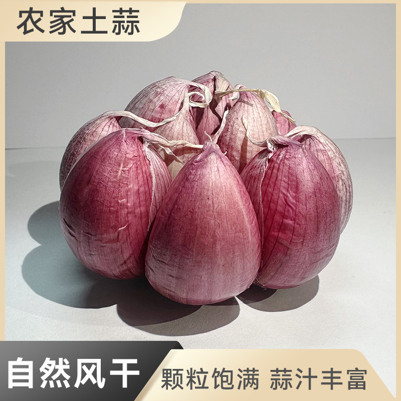 大果10成干干大蒜头农家自种香蒜土蒜风干紫皮蒜辣味十足口感脆