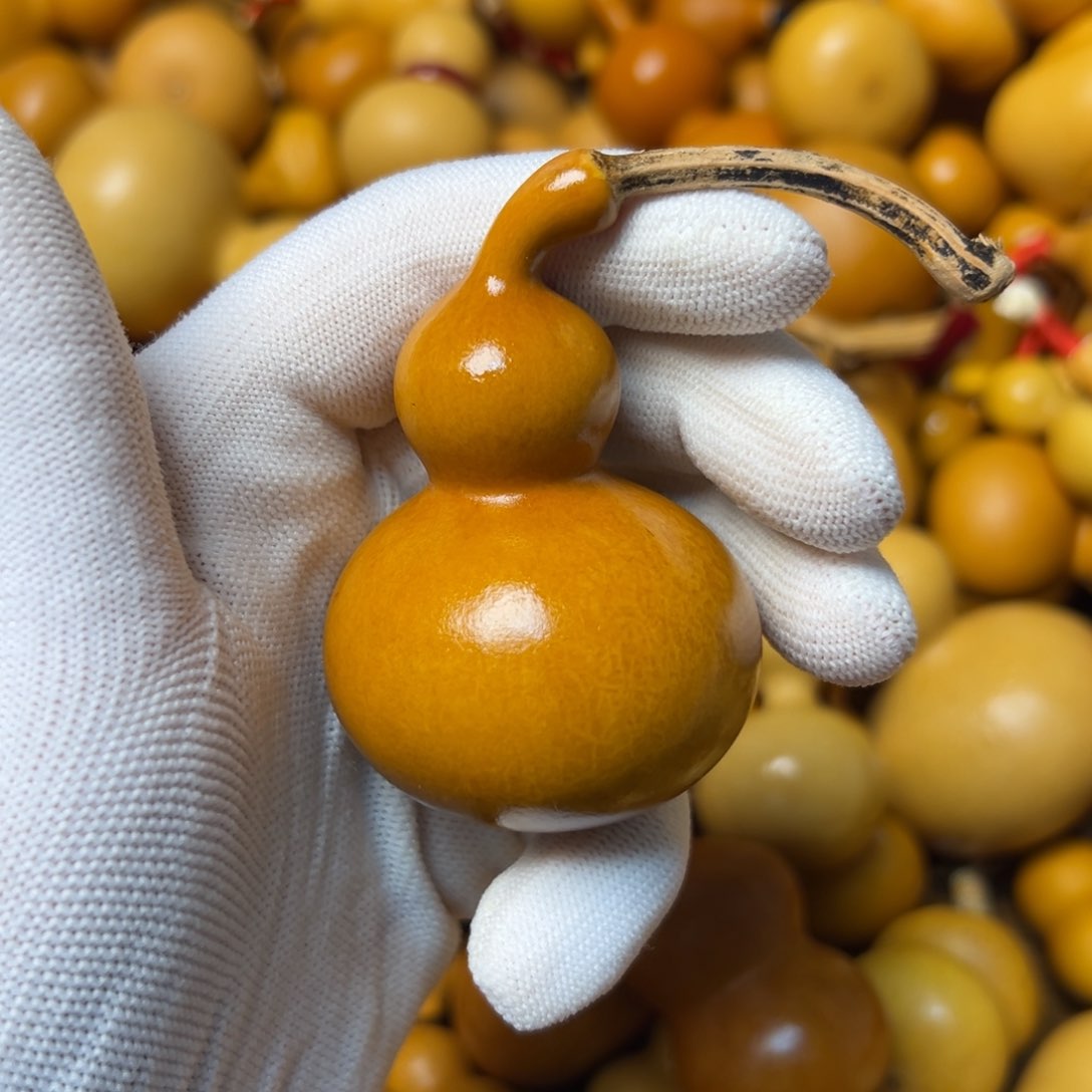 西**亚葫芦头的做法是用