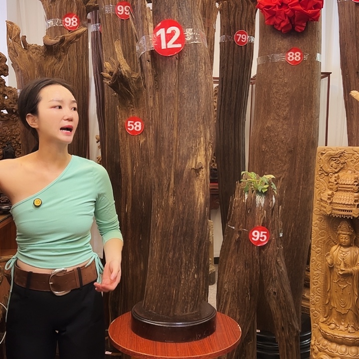 中***客沉香碎屑沉香沉香原材料