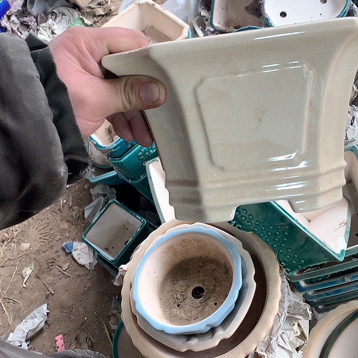 紫砂哈哈好哈哈哈好好看一下