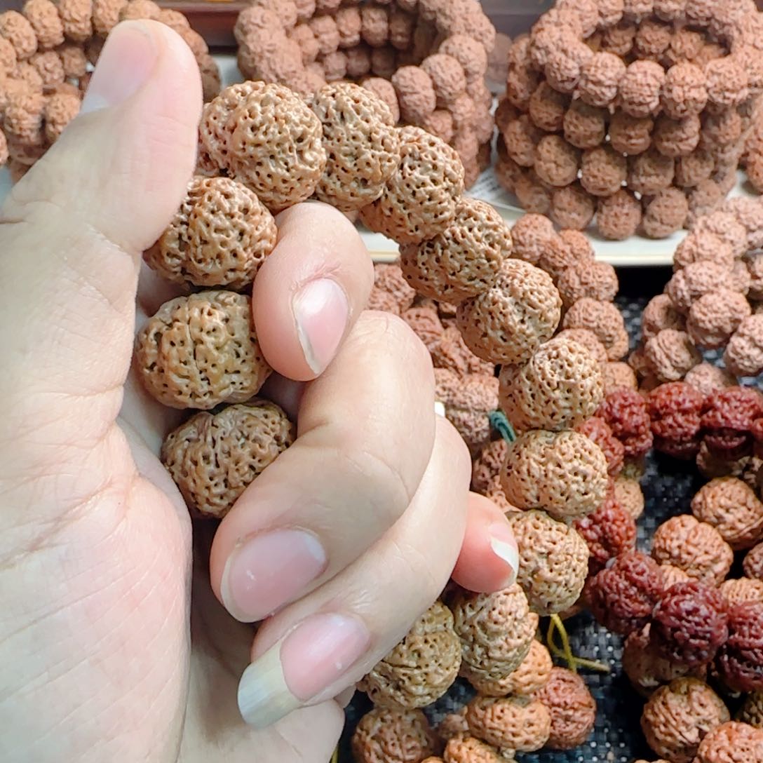 金刚菩提手串@**✔须尽欢五瓣