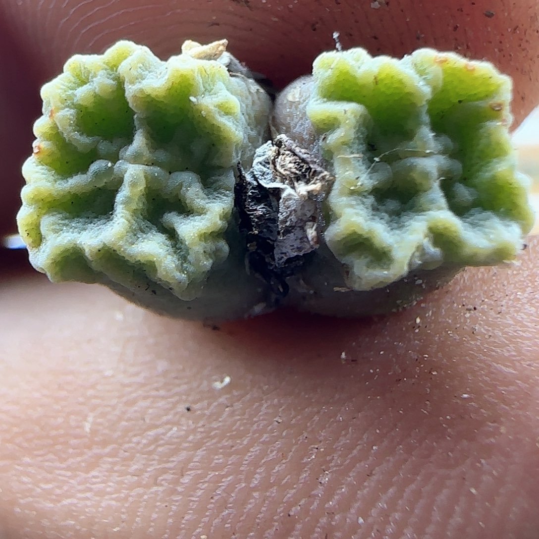 各位小主下午安康41726