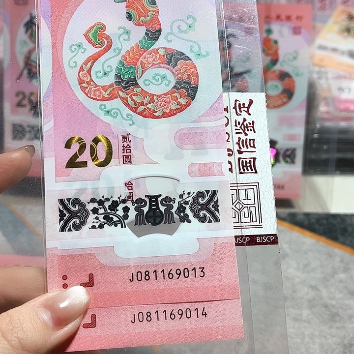 塑料081169013、14。两张 一生一世 