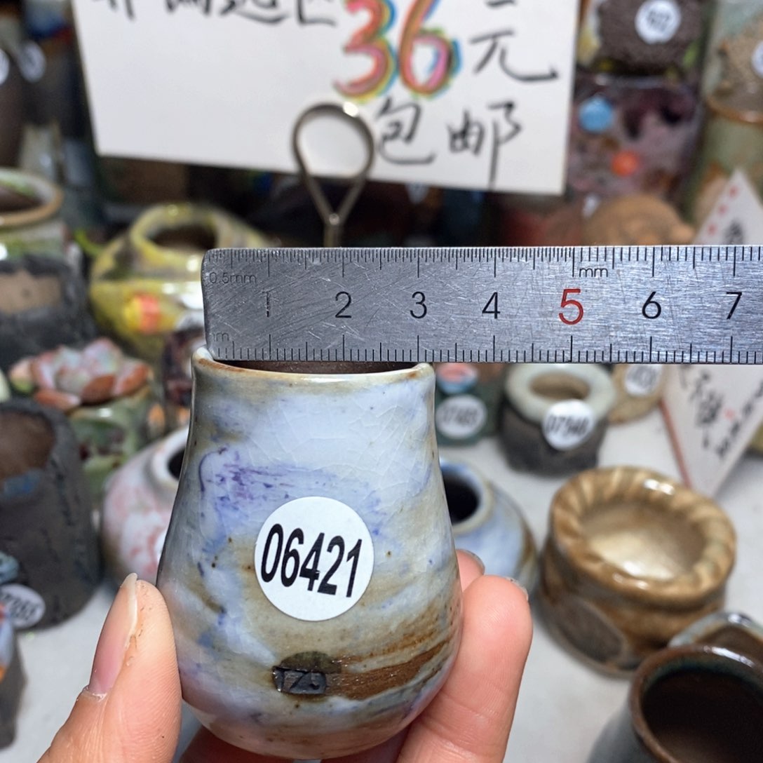 花盆拍5送一个小礼物