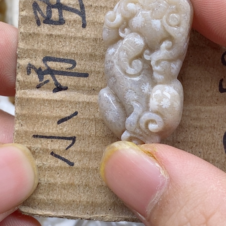 颈饰未镶嵌硅化珊瑚（珊瑚玉）s**.