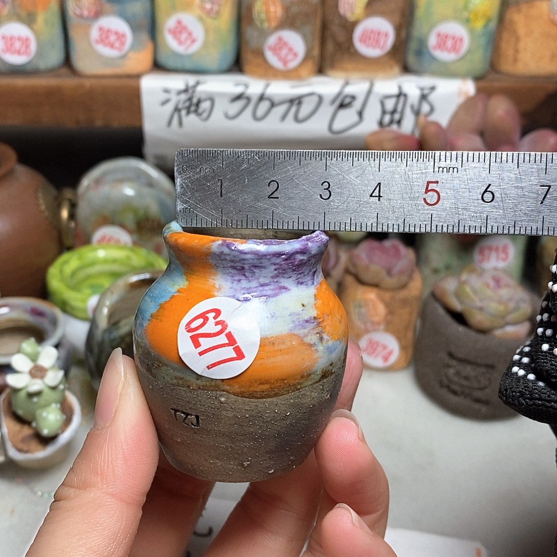 红陶拍5送一个小