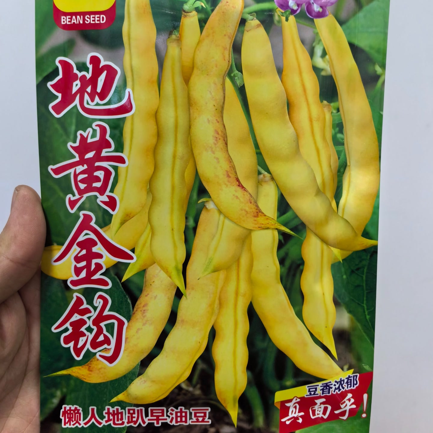 地黄金勾懒人必备不搭架早熟高产抗病无筋。