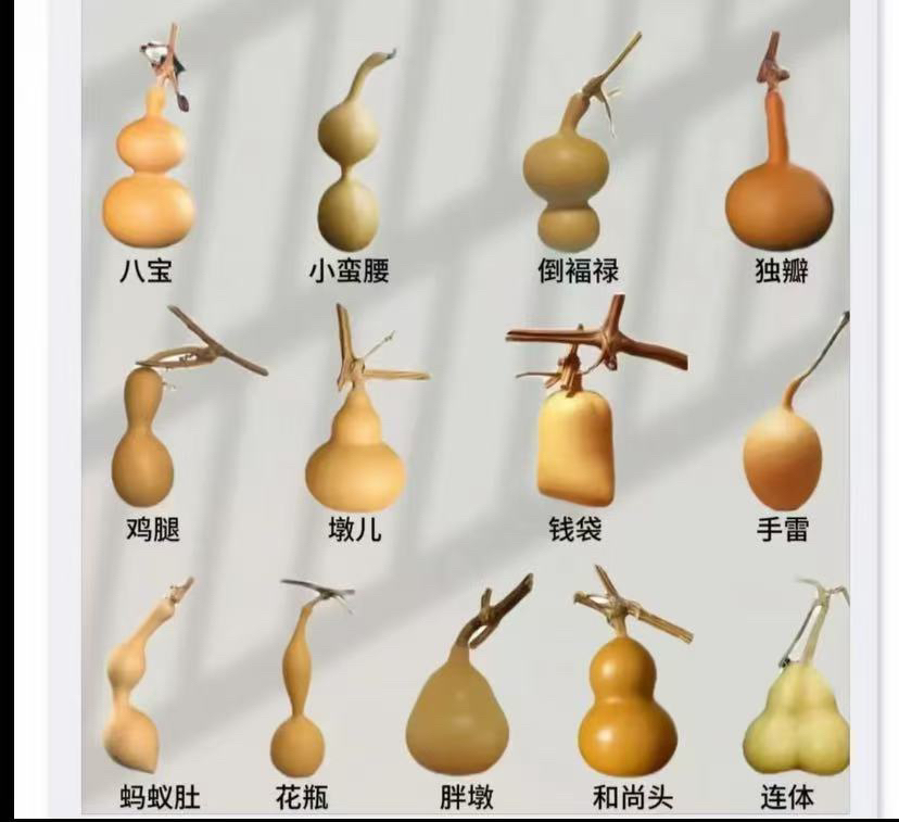 直播间专拍绕指柔