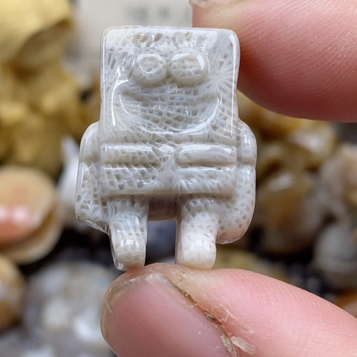 颈饰未镶嵌硅化珊瑚（珊瑚玉）小