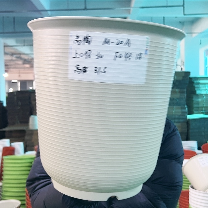 正品高陶口30高31米色无托3只