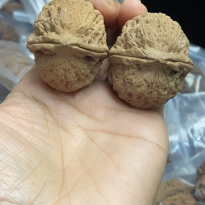 木质类云南铁核桃+56