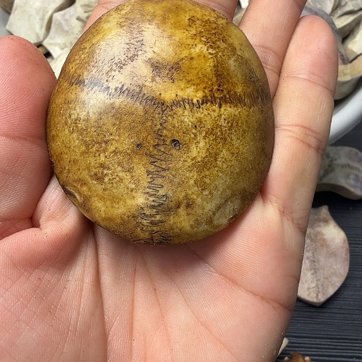 龙***贵铁合金花岗石养殖头骨制作嘎嘎