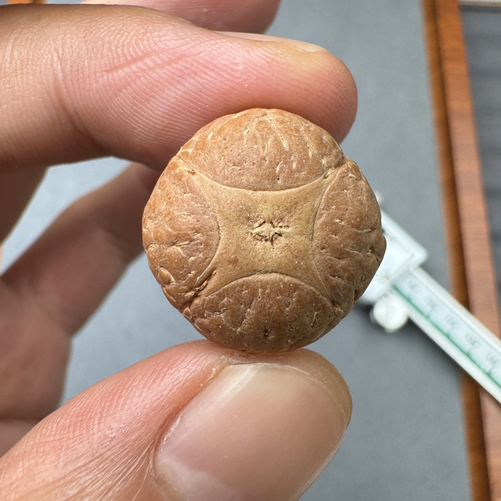 20+尼泊尔麒麟眼菩提凤眼手串三通佛头，非质量问题开孔不退wj0924