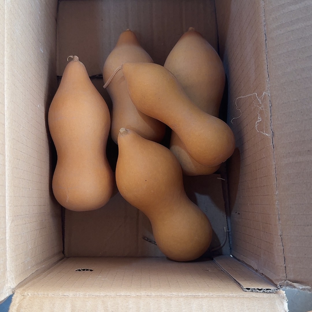 陆***昂有机玻璃5个本章5