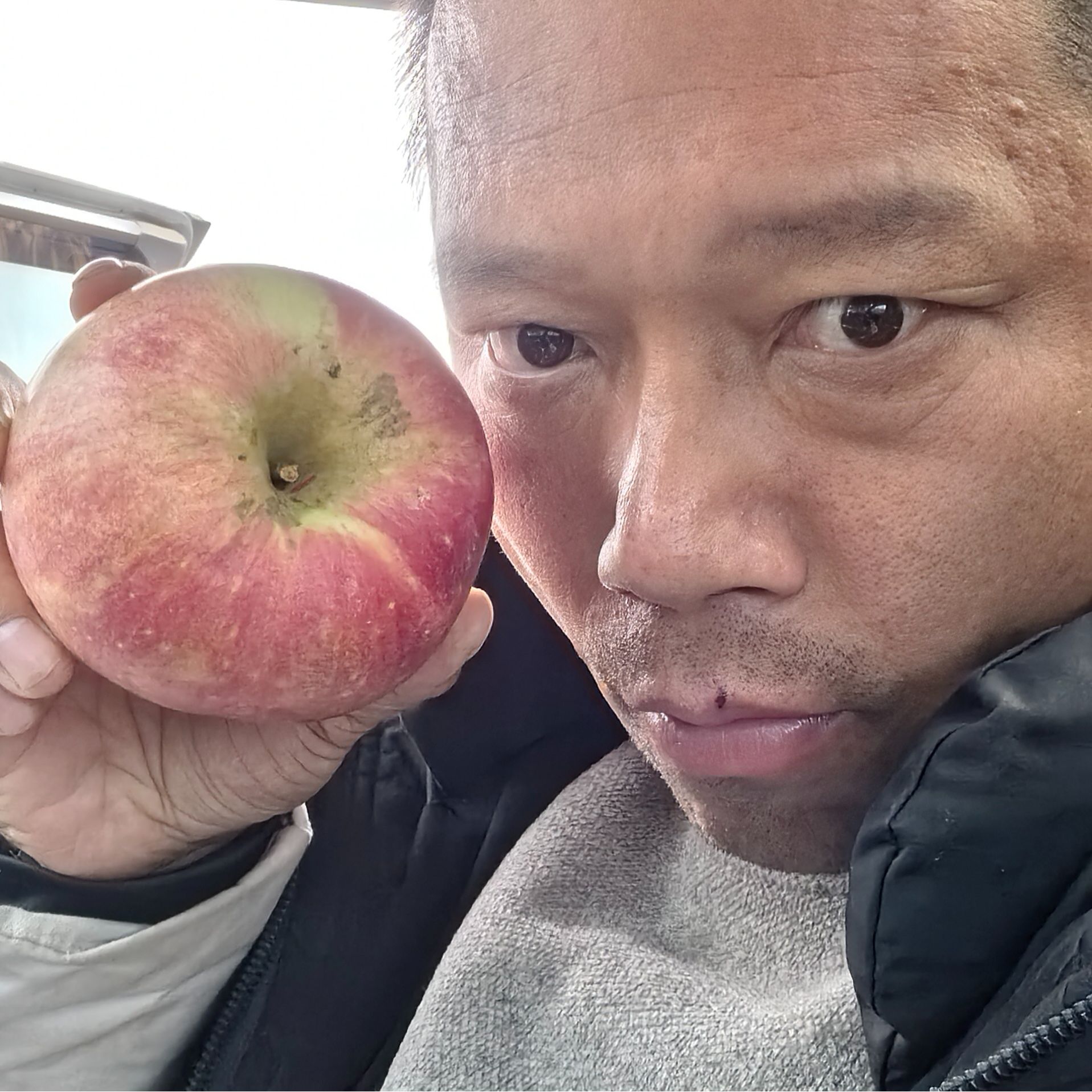 杨教授东北漂亮苹果～六个/件