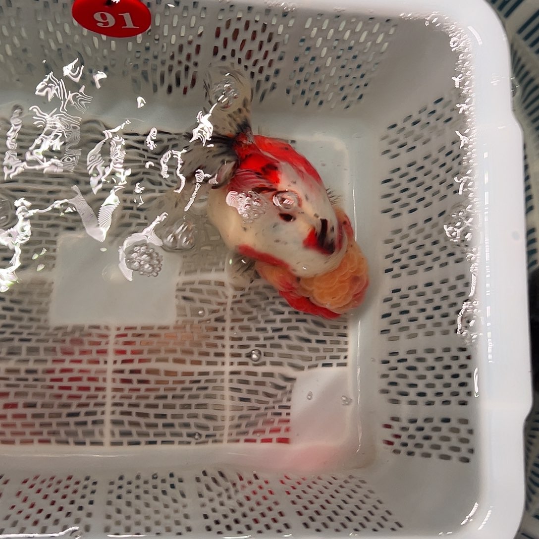 F***n抖音上的小伙伴们都在