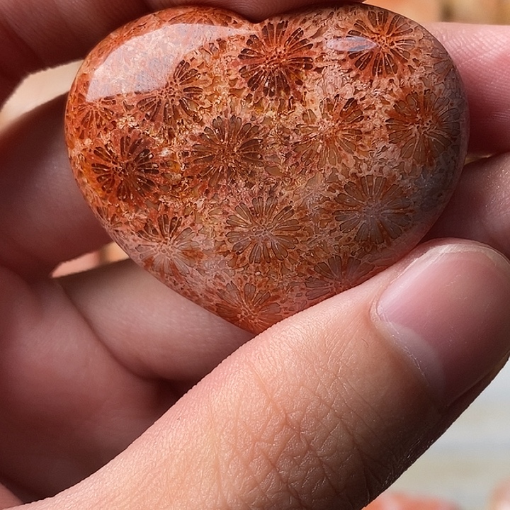 意***盛硅化珊瑚未镶嵌颈饰