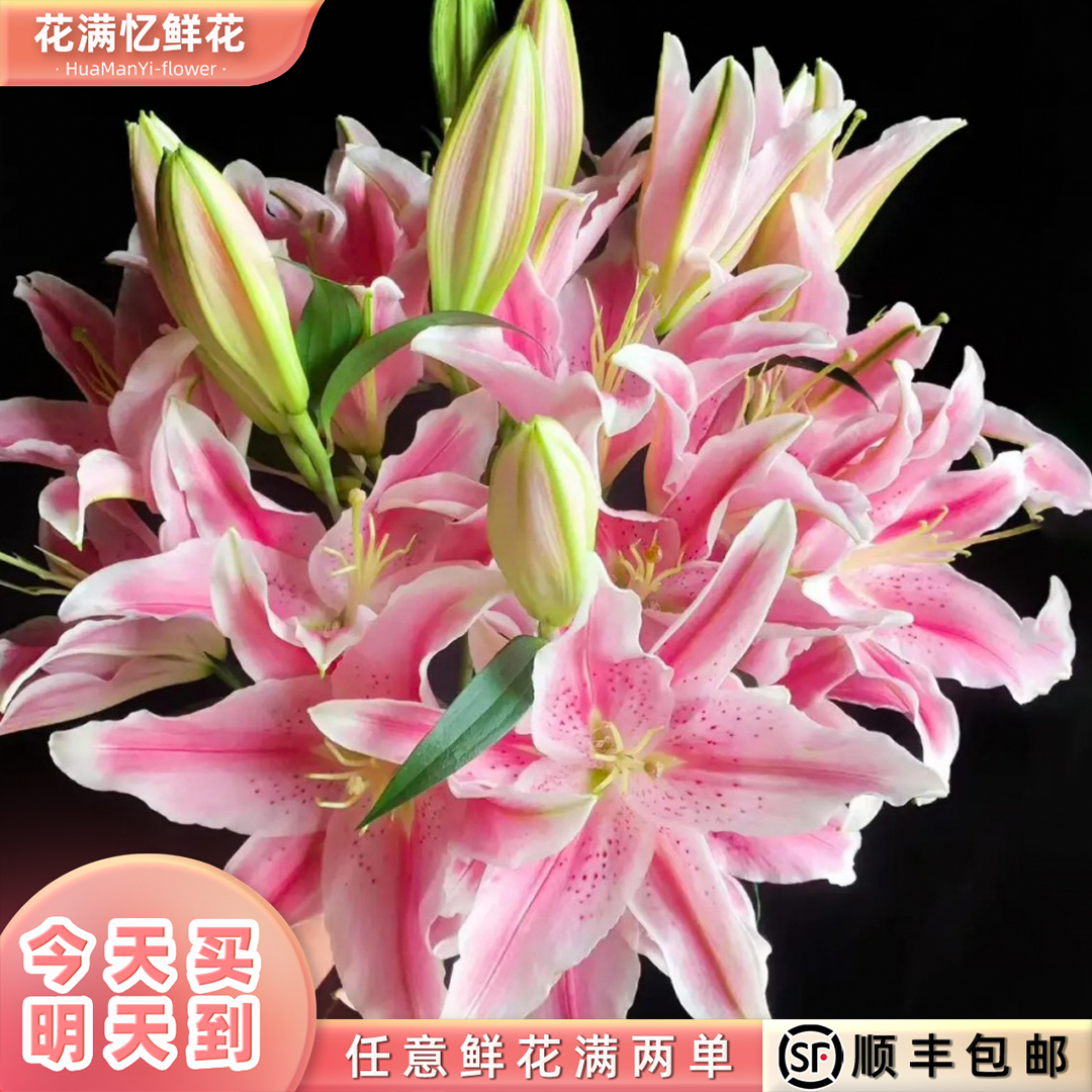 次日达 -【粉色百合】6-8朵粉色百合鲜花鲜切花家居花批发任意满两单顺丰包邮三单送花瓶今天拍明天到、