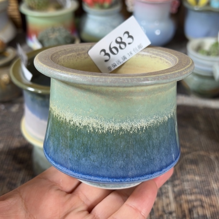 口6.5 未满30运费到付