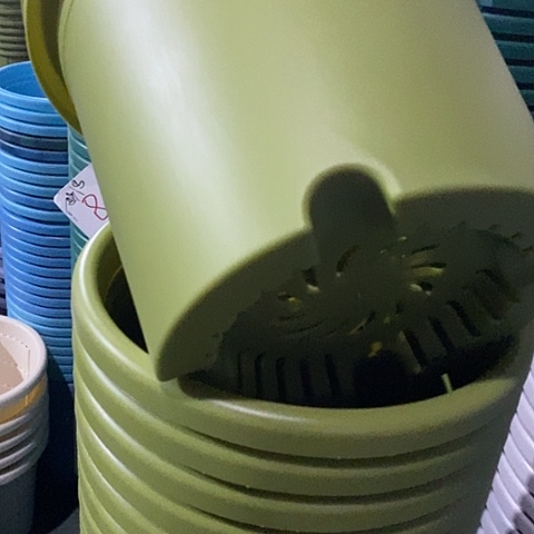 树脂四季4号果绿无托8个