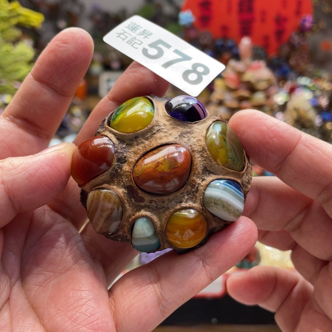 核桃木/黑胡桃（胡桃木）易*578