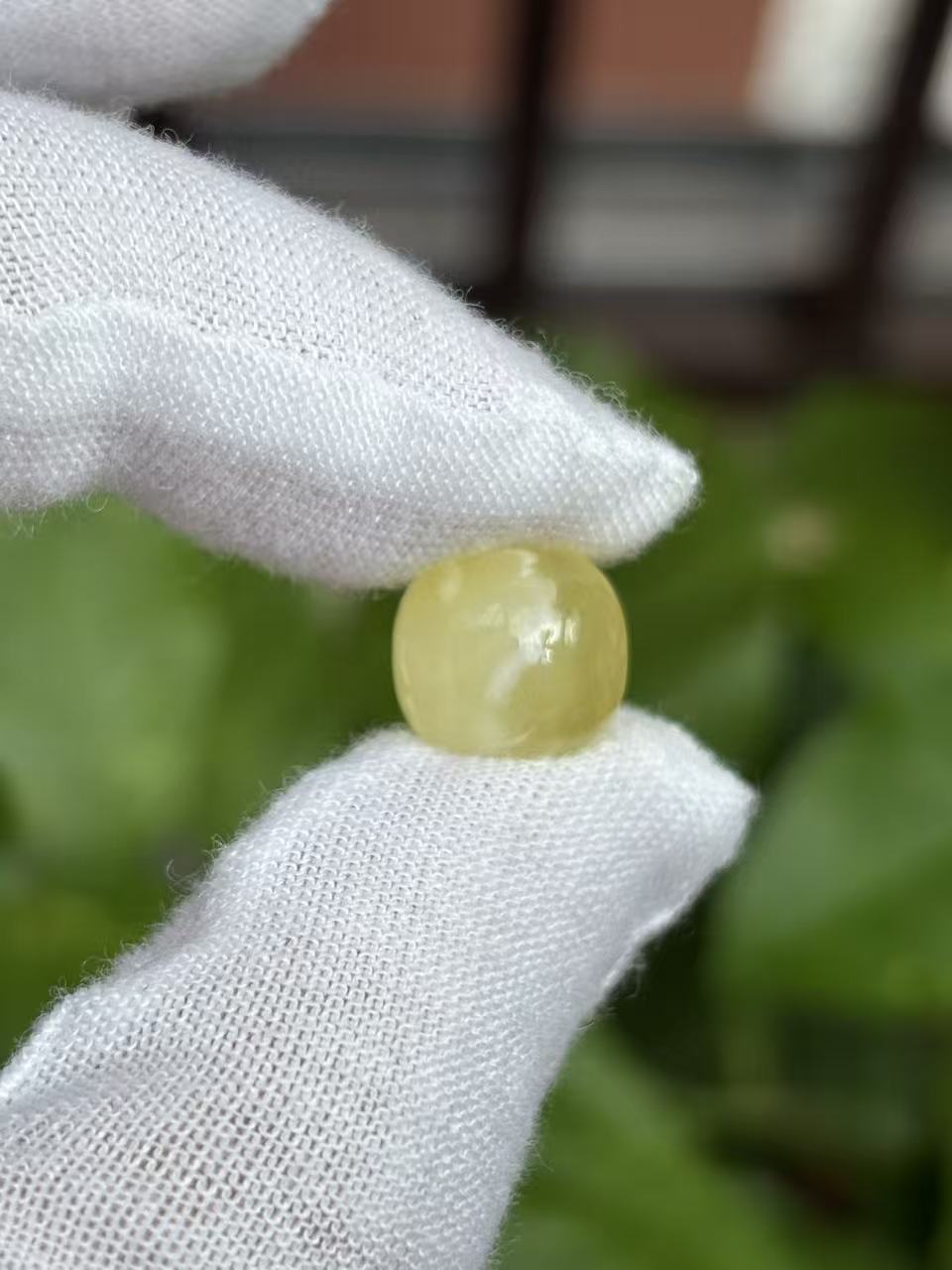 1526天然蜜蜡琥珀老型墩子11.3x10.4mm
