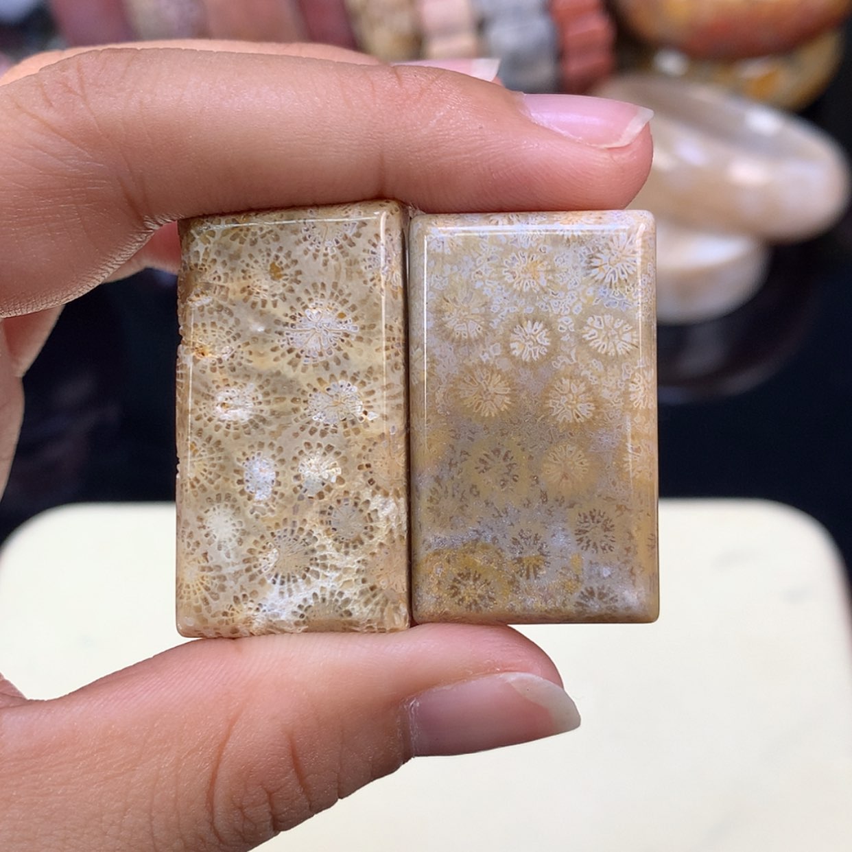 【闪购商品】颈饰未镶嵌硅化珊瑚（珊瑚玉）3号福利吊坠