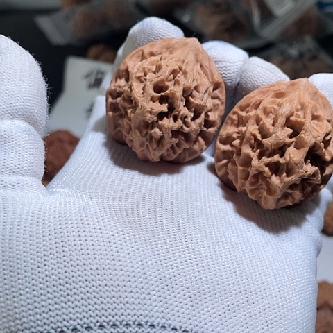 文玩核桃把件白蛇骨