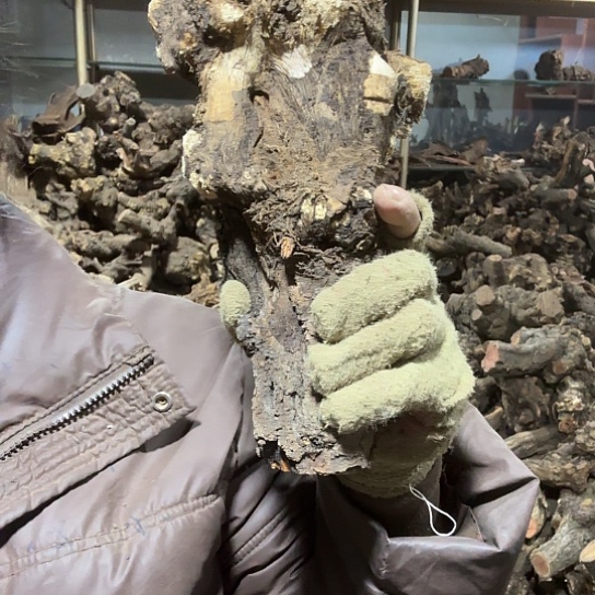 香榧木晚*｀火琉璃的故事毛料摆件