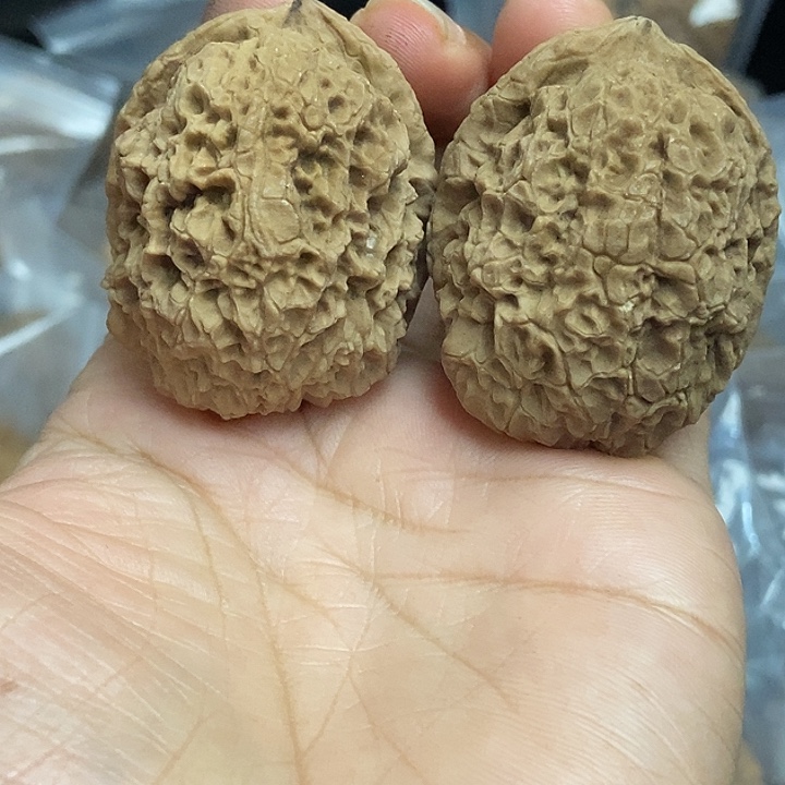 文玩核桃把件云南铁核桃基地33