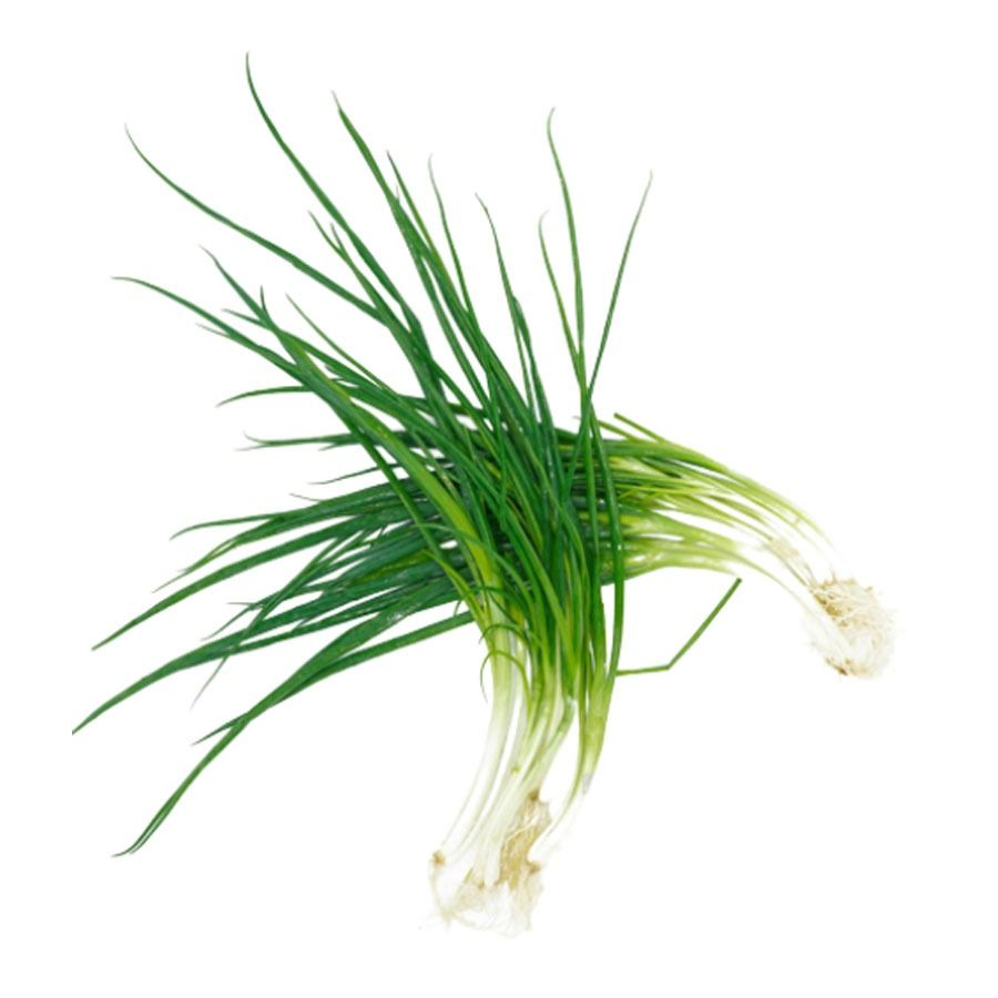 小香葱约100g/份