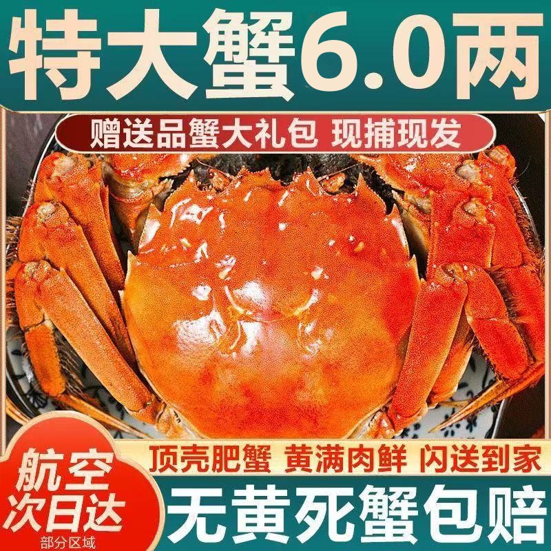 B【活蟹】 苏州大闸蟹公蟹6两5只+母蟹5两5只共10只顺丰京东冷运包邮到家